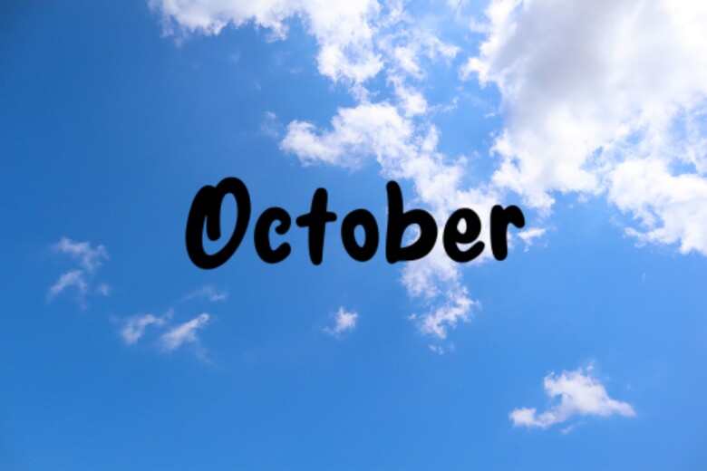 ボディローションは魅力いっぱい！！ | モイスティーヌmomo 長野・松本