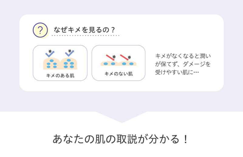 なぜキメを見るの？